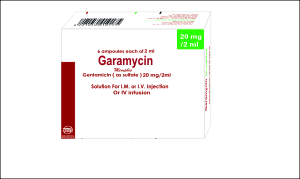 Garamycin 20Mg 2CC 6 amp